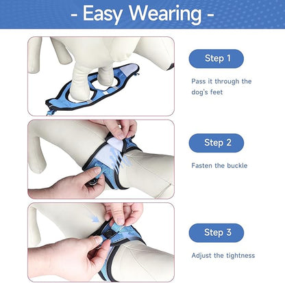 Dog Harness for Small Dogs and Leash Set, Honeycomb Grid, Reflective Lightweight Harness & Anti-Twist Pet Lead Multi Color, Size: XS-S-M. (XS, Marine Blue)
