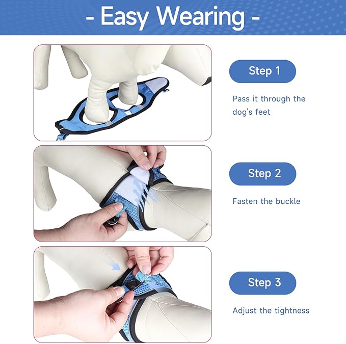 Dog Harness for Small Dogs and Leash Set, Honeycomb Grid, Reflective Lightweight Harness & Anti-Twist Pet Lead Multi Color, Size: XS-S-M. (M, Marine Blue)