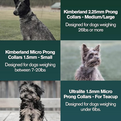 Clasp 1.5mm Stainless Steel Ultralite Dog Training Collar for Teacup Dogs | 7” Micro Prong Collar for Dogs Under 6lbs | No-Pull Collar | Dog/Puppy Training & Behavior Aid