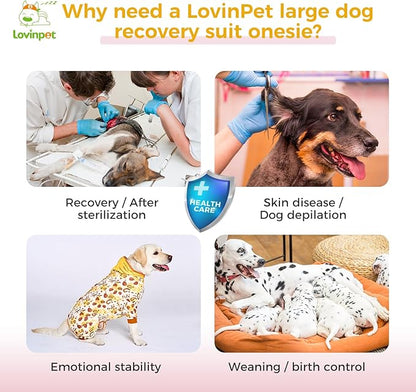 LovinPet Dog Recovery Suit for Large Medium Dogs - Dog's Bodysuit Wound Protective Surgical,E-Collar Alternative Recovery Bodysuit for Abdominal Wounds After Surgery Anti-Licking,Tiger,Yellow,M