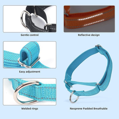 SGODA Martingale Dog Collar, Reflective Nylon Padded Dog Training Collars for Medium Dogs, Grey M
