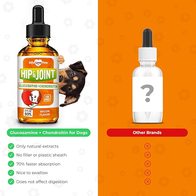 Glucosamine for Dogs + Chondroitinin in Liquid Form – Hip & Joint Supplement for Dogs to Care for Muscular System – Effective Dog Health Supplies with Natural Bacon Flavor – All Breeds Support – 2 oz