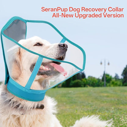 Foldable Dog Cone Collar - Adjustable Comfort Elizabethan Recovery Collar, Transparent Waterproof E-Collar for Dogs After Surgery to Stop Licking Scratching, Blue, M