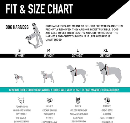 Wolfgang Heavy Duty Adjustable Dog Harness, Pull-Tested to Over 800 lbs for Walking & Training, LostArt Print, Extra Large