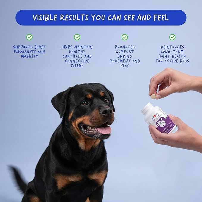 Hip and Joint Supplement for Dogs - Glucosamine for Dogs - Hip & Joint Support - Plus Chondroitin and MSM - Ease Inflammation, Antioxidant. (120 Chewable Tablets)