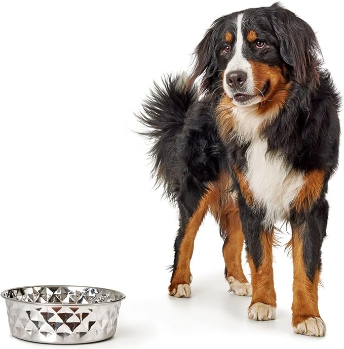 Hunter Silicone Stainless Steel Dog Feeder 4.1 L