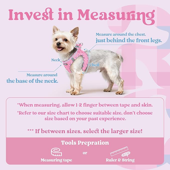 rabbitgoo Small Dog Harness, Step-in Soft Mesh Puppy Vest with Safety Buckle, Breathable Reflective Pet Harness for Extra Small Dogs, Pink & Plaid Trim XXS