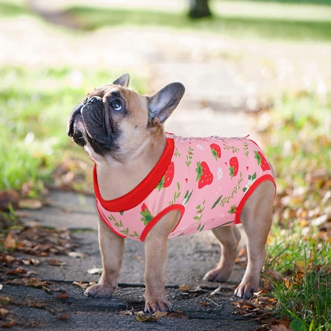 SAWMONG Recovery Suit for Dogs After Surgery, Dog Recovery Suit Breathable Polyester, Pet Spay Surgical Suit Female Male, Dog Onesie Body Suit Substitute E-Collar Cone(Strawberry,XXL)