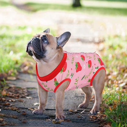 SAWMONG Recovery Suit for Dogs After Surgery, Dog Recovery Suit Breathable Polyester, Pet Spay Surgical Suit Female Male, Dog Onesie Body Suit Substitute E-Collar Cone(Strawberry,L)