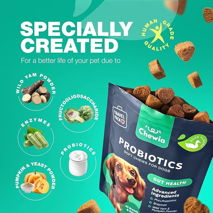 Probiotics for Dogs Gut Health, Digestion, Immunity, Yeast Balance, Itchy Skin, Allergies Support - Dog Probiotic Chews (Travel Pack) with Digestive Enzymes for Gut Flora - Pumpkin and Yeast Powder