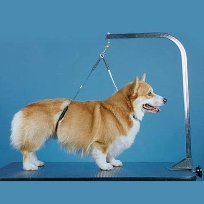No Sit Haunch Holder Dog Grooming Restraint Restraint for Large dogs (Large: 21" and 24") by Downtown Pet Supply