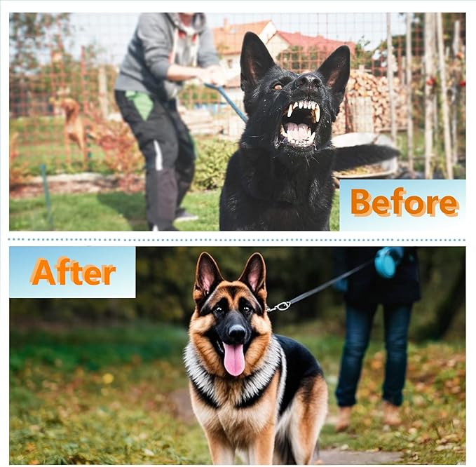 Dog Prong Collar - Stainless Steel Pinch Collar for Large Dogs Training, Adjustable Choker Chain Collar, Durable Dog Training Collar for Medium/Large Breed Obedience (3.8mm, Neck Size 27"-29")
