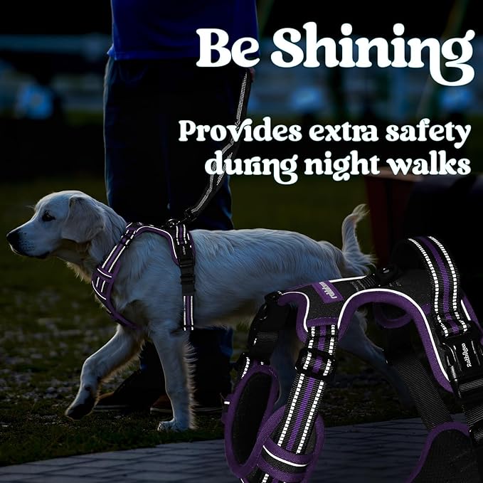 rabbitgoo Dog Harness Small Sized, No Pull Pet Harness with 3 Buckles, Adjustable Soft Padded Vest with Control Handle, Walking Reflective Pet Vest for Small Dogs, Black & Purple, S