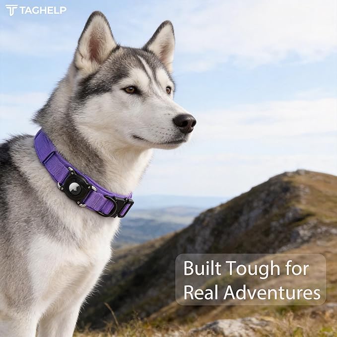 Tactical AirTag Dog Collar with Waterproof Holder(1st/2nd Generation) | Military-Grade Adjustable Collar, Comfortable Control Handle & Metal Buckle for Medium Dogs，Smart QR ID tag (Purple, M)