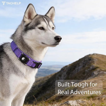 Tactical AirTag Dog Collar with Waterproof Holder(1st/2nd Generation) | Military-Grade Adjustable Collar, Comfortable Control Handle & Metal Buckle for Medium Dogs，Smart QR ID tag (Purple, M)
