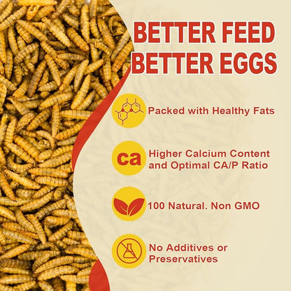 10LB Dried Black Soldier Fly Larvae, 85X More Calcium Chicken Feed Than Mealworms, 100% Natural Non-GMO BSF, Treat for Chickens, Ducks, Laying Hens, Birds
