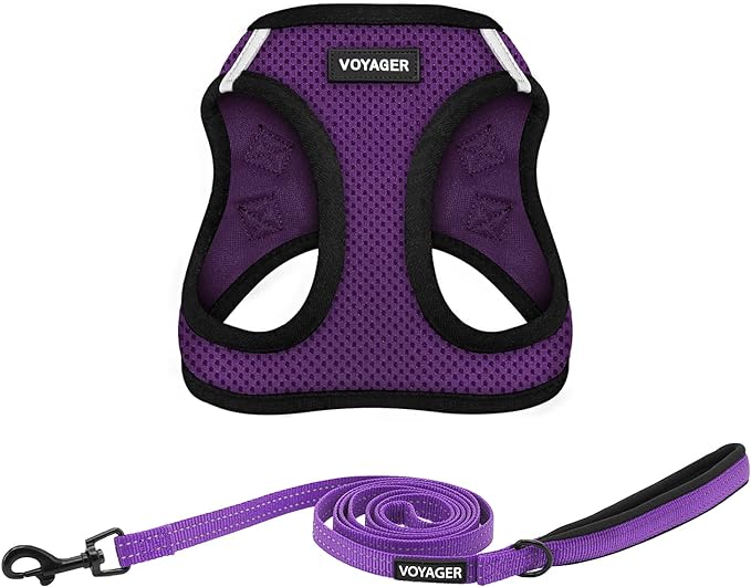 Best Pet Supplies Voyager Step-in Air All Weather Mesh Harness and Reflective Dog 5ft Leash Combo with Neoprene Handle, for Small, Medium and Large Breed Puppies - Set (Purple/Black Trim), XX-Small