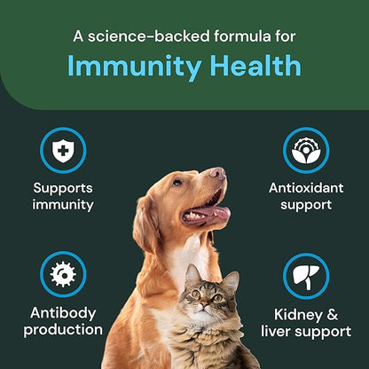 VETRISCIENCE Veterinary Strength DMG Immunity Health Chews - Immune System Support for Dogs & Cats - Liver Aid - Antioxidant Support for Pets - Chicken Flavor - 50 Count