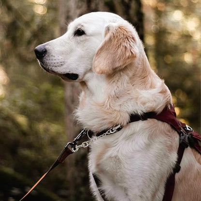 Safety Clip Metal Double Ended Backup Dog Collar Clip for Prong Harness Connector (Small)