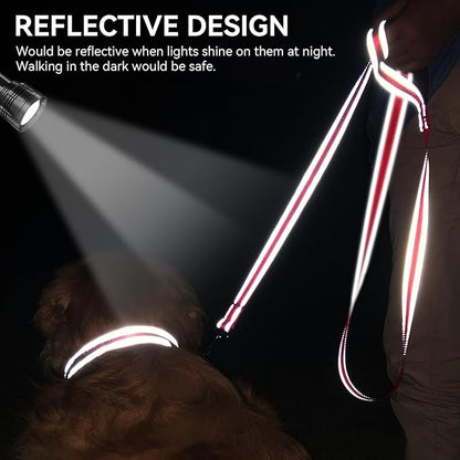 Joytale Dog Leash, 4 FT Double-Sided Reflective, Padded Handle Nylon Heavy Duty Leashes for Small Dogs Walking, Red