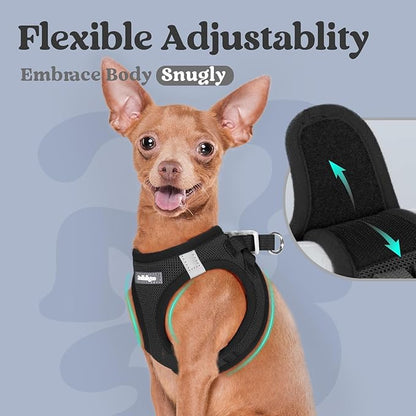 rabbitgoo Small Dog Harness, Step-in Soft Mesh Puppy Vest with Safety Buckle, Breathable Reflective Pet Harness for Small Sized Dogs, Black XS