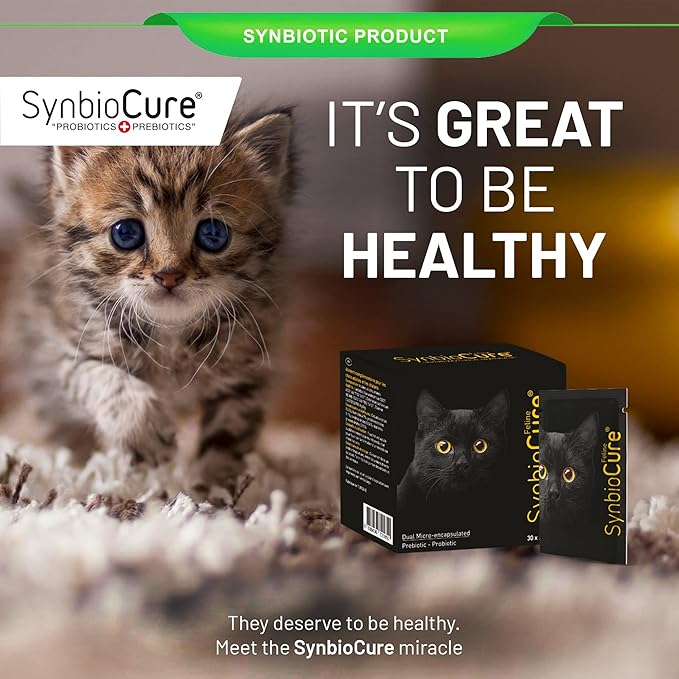 I Probiotics & Prebiotics for Cats I Powder Cat Supplement I Digestive Health Support I 200 Billion Bacteria Per Sachet I 30 Sachets*2 g