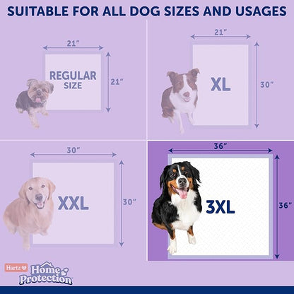Hartz Home Protection Super Absorbent Odor Eliminating Lavender Scented No Leaks Dog Pads, 3XL 60 Count