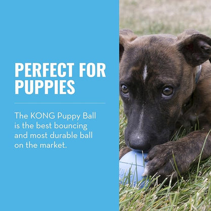 KONG Puppy Ball w/ Hole - Soft & Durable Activity Ball for Puppies - Dog Toy Supports Healthy Exercise & Interactive Play - Dog Toy for Natural Teething - For Small Puppies - Assorted Colors