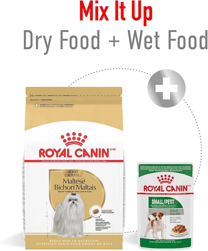 Royal Canin Breed Health Nutrition Maltese Adult Dry Dog Food, 2.5 lb Bag