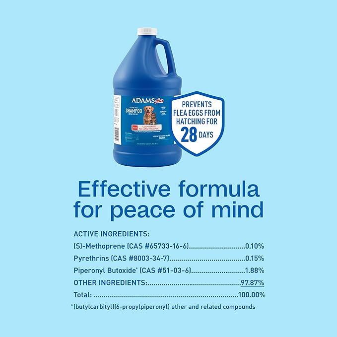 ADAMS Plus Flea & Tick Shampoo with Precor for Dogs, Cats, Puppies & Kittens, Flea Shampoo to Treat Flea Infestations, Kills Ticks, Fleas, Flea Eggs & Lice, Cleans and Conditions Coat, 1 Gallon