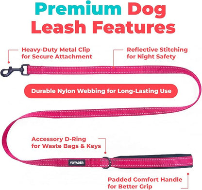 Best Pet Supplies Voyager Reflective Dog Leash or Collar with Neoprene Handle, for Small, Medium, and Large Breed Puppies, Cute and Heavy Duty for Walking, Running and Training - Fuchsia (Leash), L
