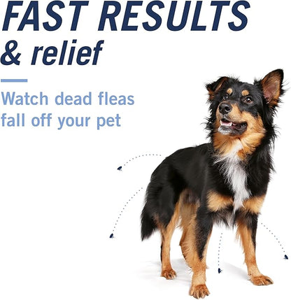 PetArmor CAPACTION (nitenpyram) Oral Flea Treatment for Dogs, Fast Acting Tablets Start Killing in 30 Minutes, Small Dog Flea Treatment 2-25 lbs, 6 Doses