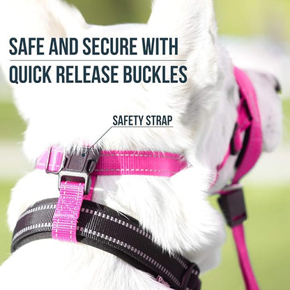 GoodBoy Dog Head Halter with Safety Strap - Stops Heavy Pulling On The Leash - Padded Headcollar for Small Medium and Large Dog Sizes - Head Collar Training Guide Included (Size 2, Pink Nylon)