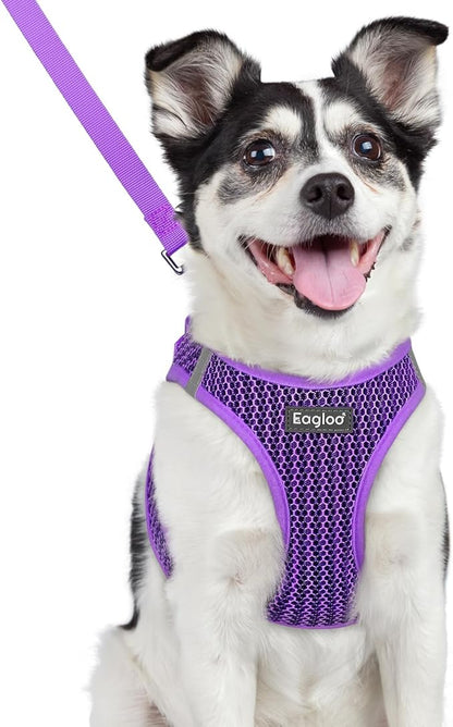 Eagloo Small Dog Harness and Leash Set, Step in Puppy Vest with Breathable Soft Mesh, Walking Reflective Pet Harness for Small Dogs, Purple, L