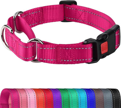 Joytale Martingale Collar for Dogs, Reflective Heavy Duty for Safety, Quick Release Buckle, Adjustable Nylon Collars for Large Dogs Walking Training, Hotpink,L