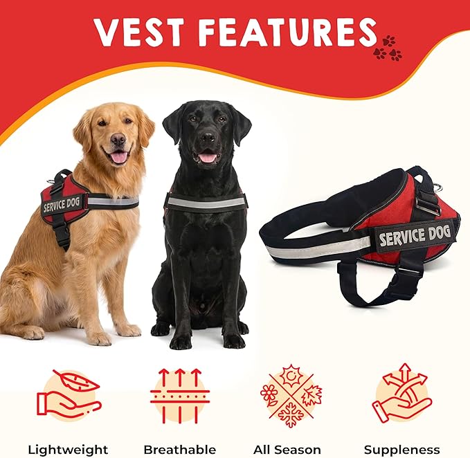Service Dog Vest + ID Tag 50 ADA Information Cards - Harness w Patch in Sizes X Small to XX Large, Metal has Durable Clip, Animal Cards. ESA Accessory Set