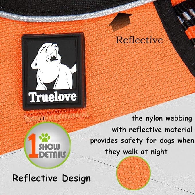 Creation Core Reflective Nylon Dog Harness and Training Leash Set Padded Durable Adjustable, Green XS