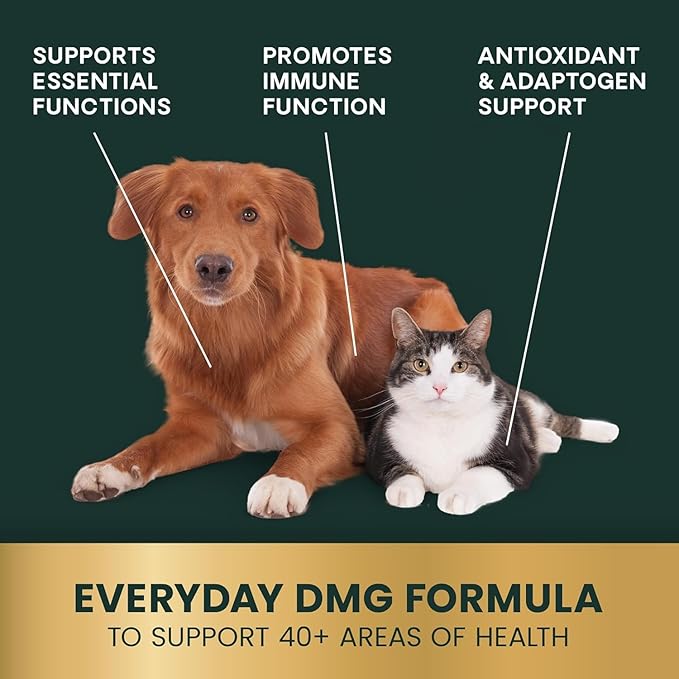 VetriScience DMG Immunity Health Easy-Dose Liquid, Immune Support Supplement for Dogs and Cats, Hypoallergenic, Support Performance, Stamina, Immune Response, (Dimethylglycine), 114 ml