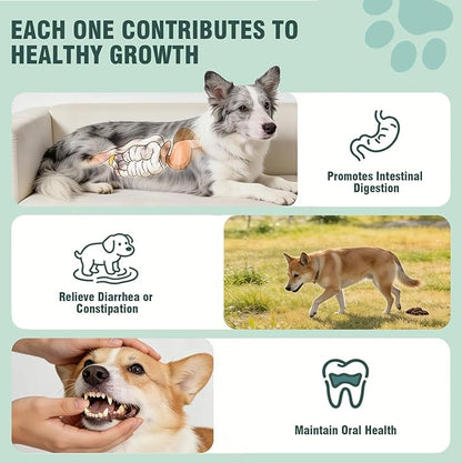 Probiotics for Dogs, 200 Soft Chews, Support Gut Health, Diarrhea Relief, Seasonal Allergies, Dog Probiotic Chews for Itchy Skin & Dog Yeast Infection, Chicken Flavor