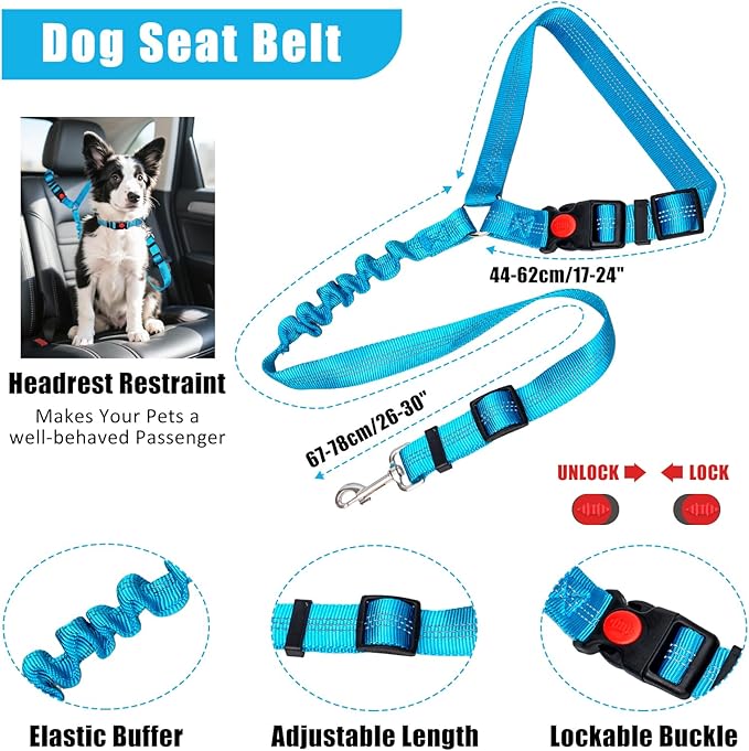 No Pull Dog Harness Adjustable Collar & Leash Set - Dog Halter Harnesses Collapsible Bowls & Poop Bag Dispenser Muzzle ID Tags Toys Fits Small Medium Large Dogs (Blue-M)
