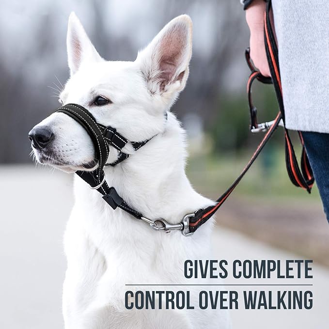 GoodBoy Dog Head Halter with Safety Strap - Stops Heavy Pulling On The Leash - Padded Headcollar for Small Medium and Large Dog Sizes - Head Collar Training Guide Included (Size 4, Black)