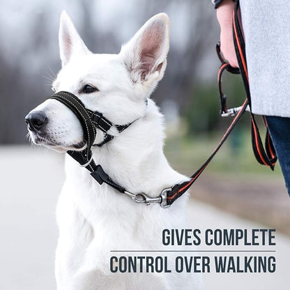 GoodBoy Dog Head Halter with Safety Strap - Stops Heavy Pulling On The Leash - Padded Headcollar for Small Medium and Large Dog Sizes - Head Collar Training Guide Included (Size 4, Black)