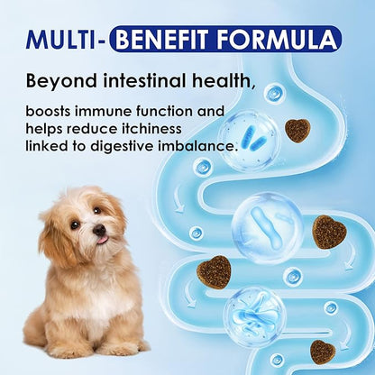 Probiotics for Dogs with Digestive Enzymes & Prebiotics - Diarrhoea Relief, Gut Health Support, Immune & Anti-Itch Function, Chicken Flavor, 120 Chews
