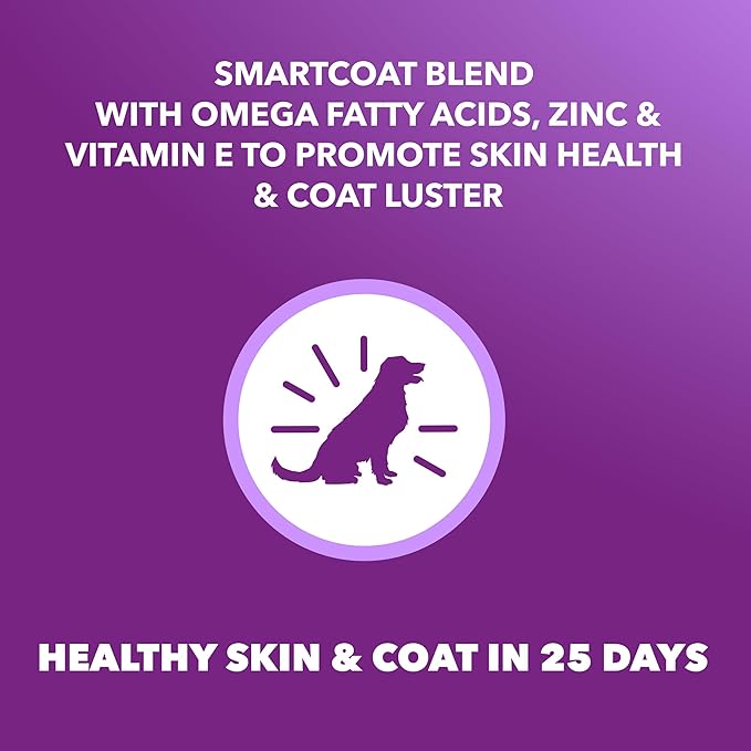 IAMS Advanced Health Skin & Coat Dry Dog Food, Adult Dog Food Dry Chicken and Salmon Recipe, 36 lb. Bag