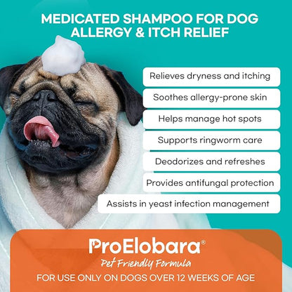 Medicated Dog Shampoo for Allergies and Itching: Antifungal Dog Shampoo, Yeast Infection and Bacterial Treatment for Dogs - Helps Hot Spots, Deodorizing and Anti Itch - Healthy Skin & Coat (Pack of 2