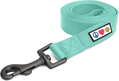 Pawtitas Solid 6 ft Teal Dog Leash M/L Custom Name and Phone Embroidery Strong Nylon Leash for Medium and Large Breeds