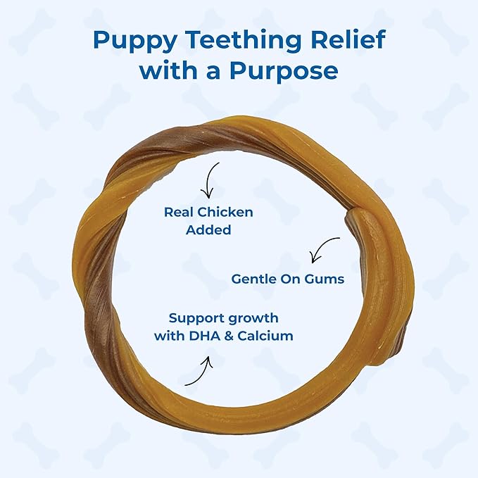 N-Bone Puppy Teething Rings Taste of Texas Queso Con Carne Flavor 3 Count