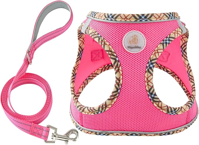 Hipubby Dog Harness Small Sized and Leash Set, No Pull Soft Mesh Puppy Vest, Reflective Breathable Lightweight Pet Harness, Harness for Small Medium Dogs and Cats - Rose Red/Khaki Trim, XS