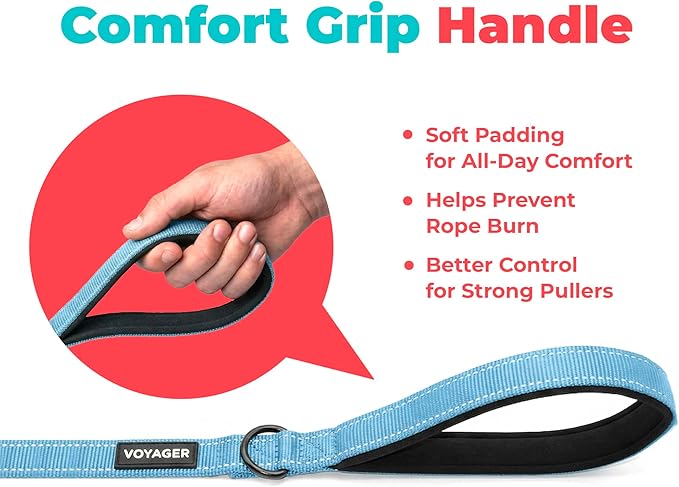 Best Pet Supplies Voyager Reflective Dog Leash or Collar with Neoprene Handle, for Small, Medium, and Large Breed Puppies, Cute and Heavy Duty for Walking, Running and Training - Baby Blue (Leash), M