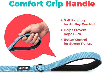 Best Pet Supplies Voyager Reflective Dog Leash or Collar with Neoprene Handle, for Small, Medium, and Large Breed Puppies, Cute and Heavy Duty for Walking, Running and Training - Baby Blue (Leash), M